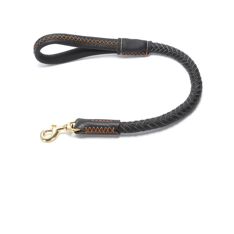 Leather Dog Leash Medium And Large Anti-breakaway Chain