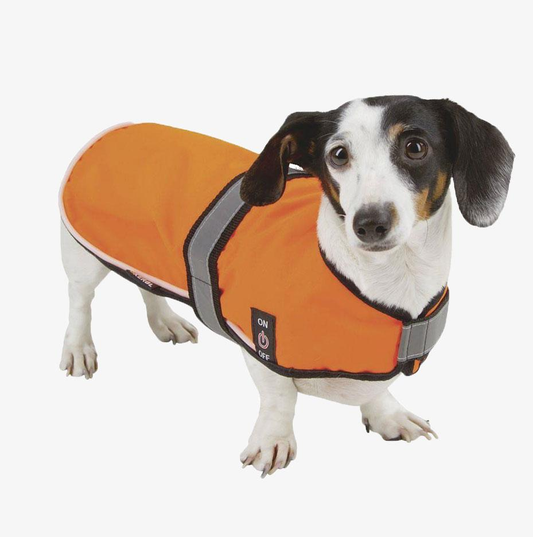 Coat For Dogs