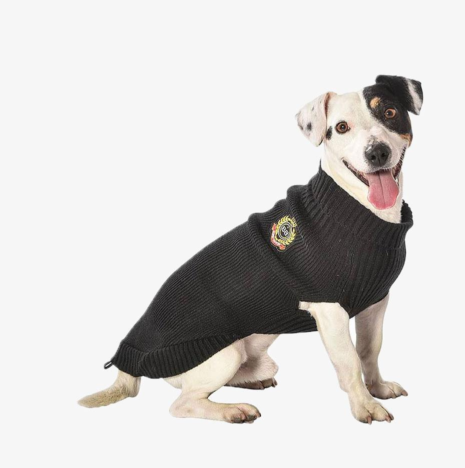 Coat For Dogs