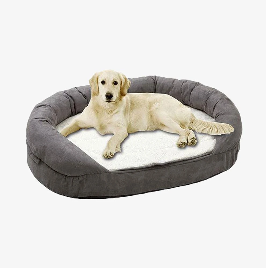 Bed for dog