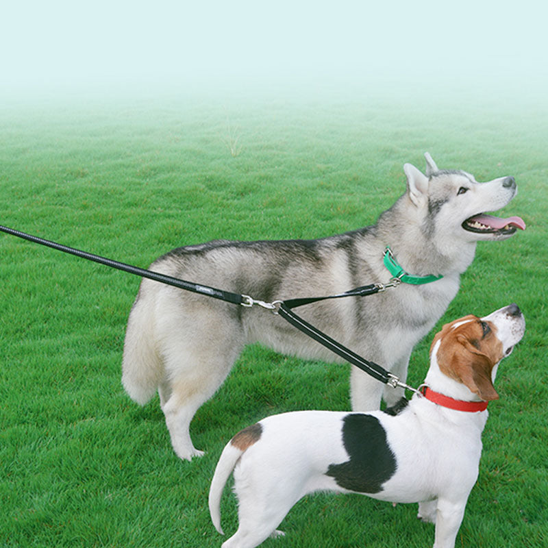 Double-Headed One-To-Two Nylon Dog Leash Reflective