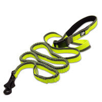 Pet running leash