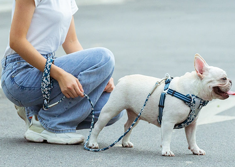 Outdoor Pet Dog Floral Round Hand Holding Rope