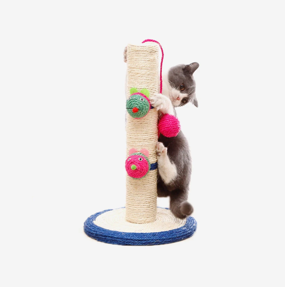 Cat toys