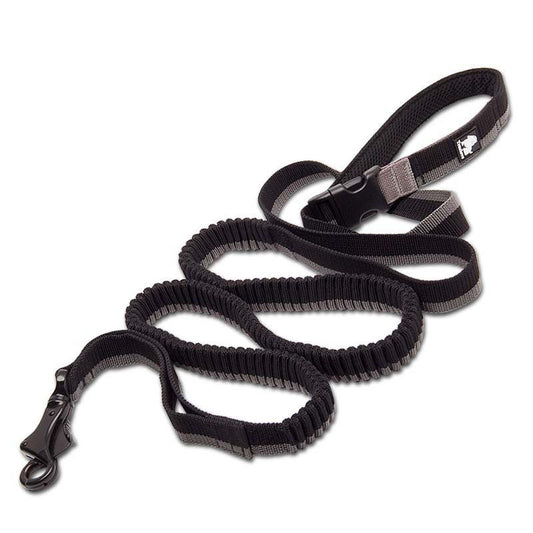 Pet running leash