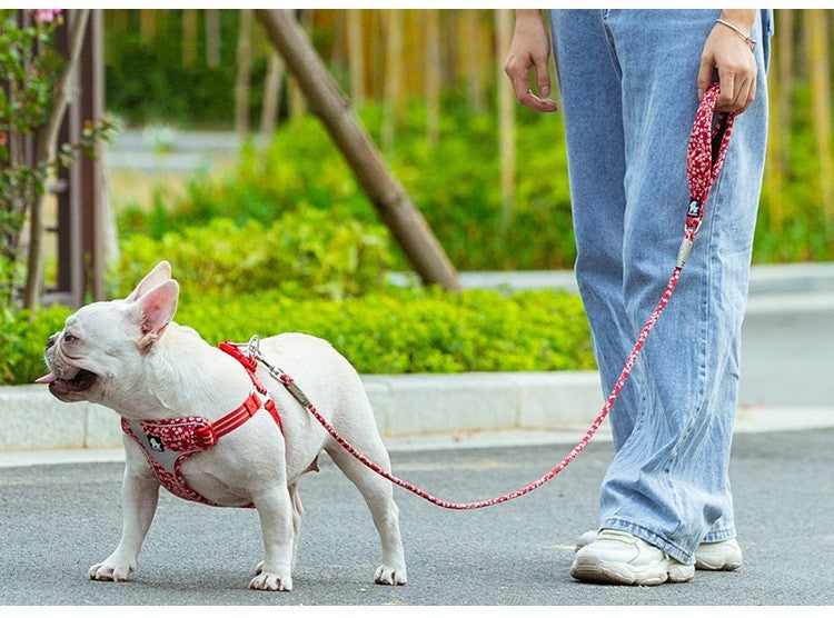 Outdoor Pet Dog Floral Round Hand Holding Rope